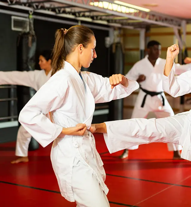 Каратэ жабдықтары